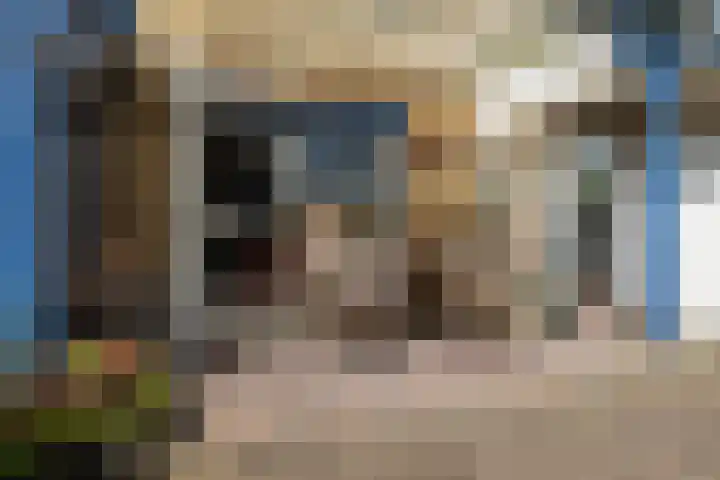 Bartholemeusstraat 38 Born thumbnail 26