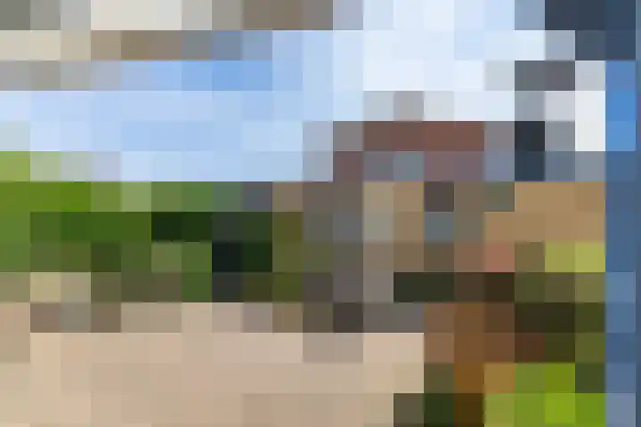 Bartholemeusstraat 38 Born thumbnail 27