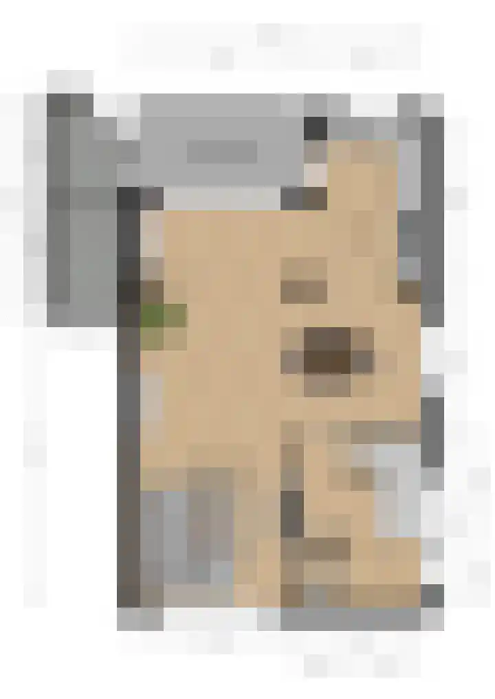 Bartholemeusstraat 38 Born thumbnail 34