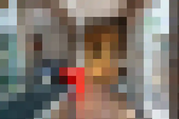 Bartholemeusstraat 38 Born thumbnail 9