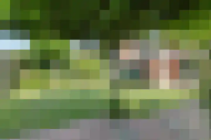 Bartholomeus Boschsingel 10 Numansdorp thumbnail 11