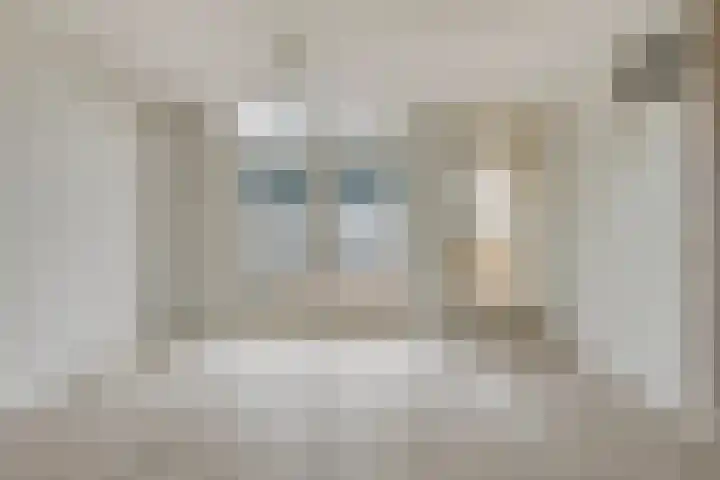 Bartigon 10 Limmen thumbnail 10