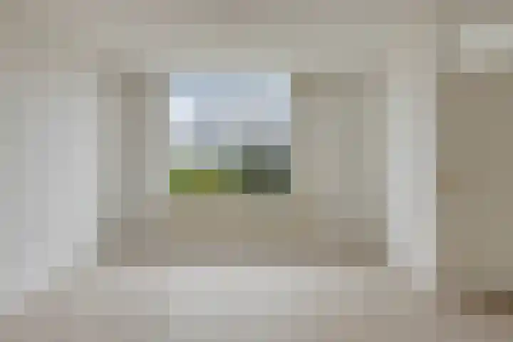 Bartigon 10 Limmen thumbnail 11