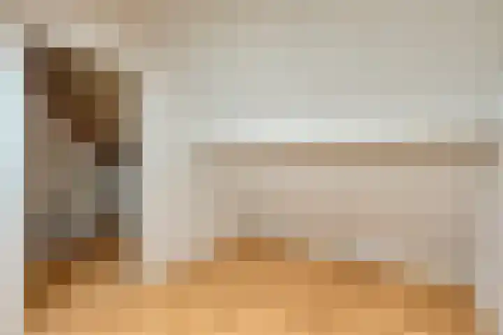 Bartigon 10 Limmen thumbnail 18
