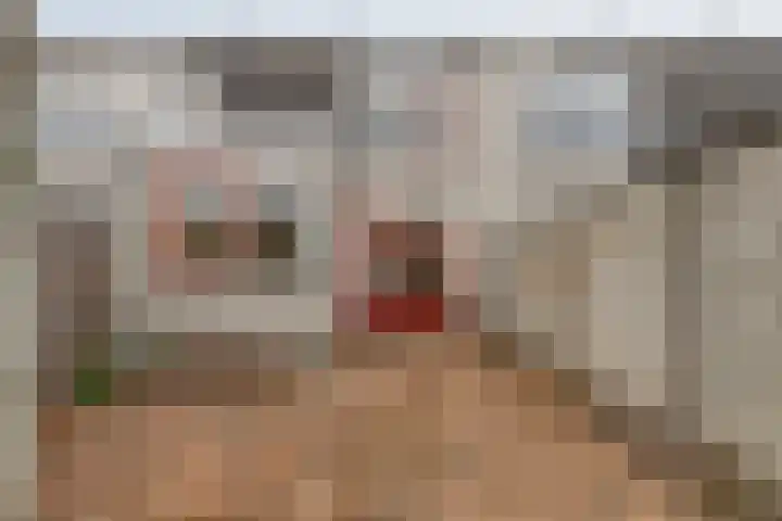 Bartigon 10 Limmen thumbnail 19