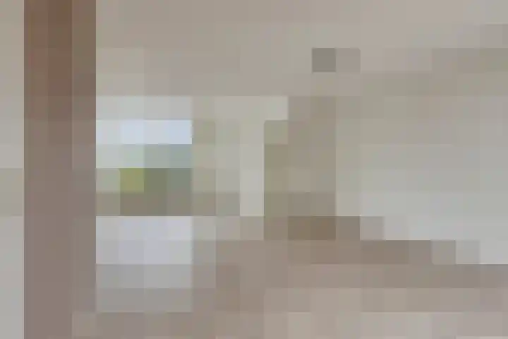 Bartigon 10 Limmen foto 2