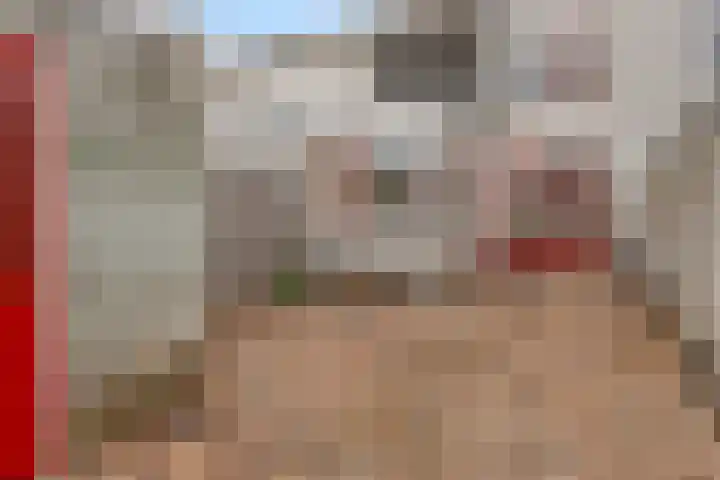 Bartigon 10 Limmen thumbnail 20