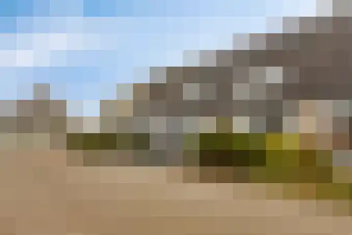 Bartigon 10 Limmen thumbnail 22