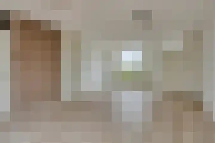 Bartigon 10 Limmen thumbnail 7