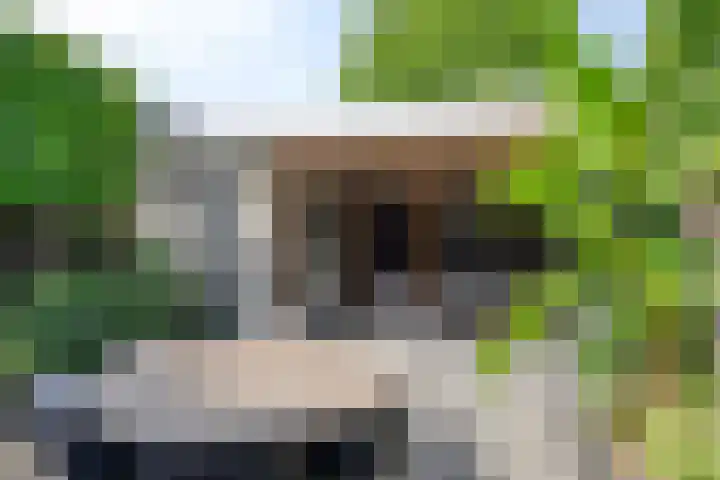 Bartokstraat 2 Schijndel thumbnail 32