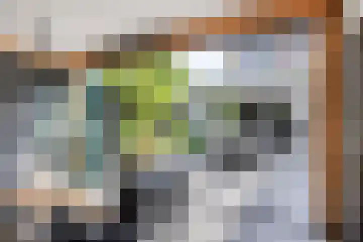 Bartokstraat 2 Schijndel thumbnail 35