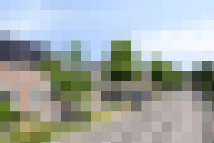 Bartokstraat 2 Schijndel thumbnail 9