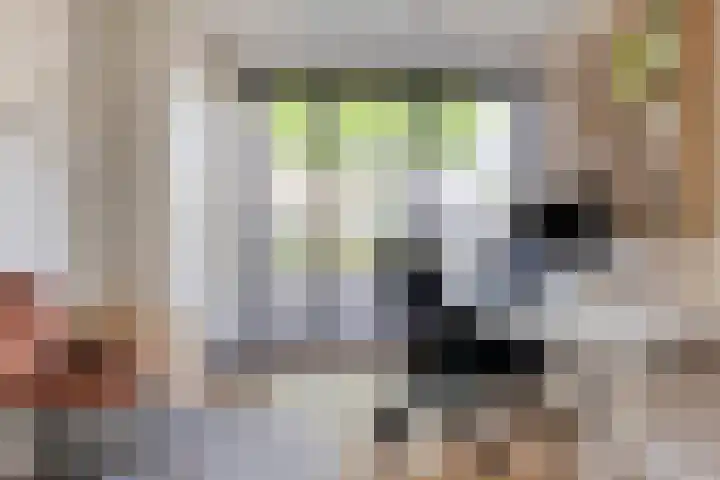 Bartokstraat 53 Schijndel thumbnail 6
