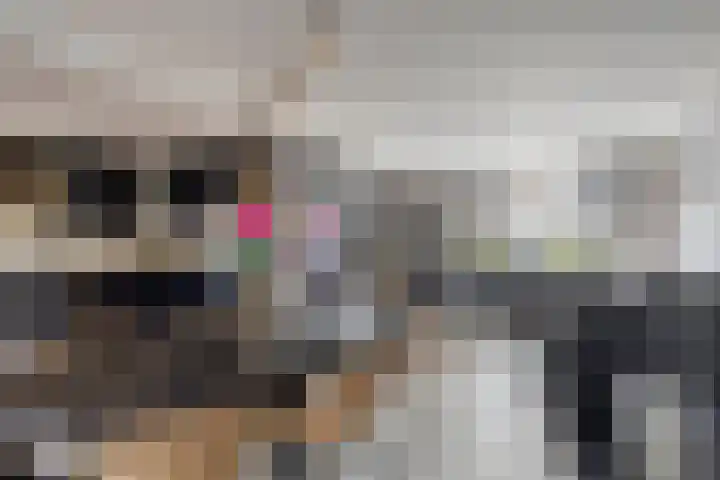 Bartókstraat 72 Elst thumbnail 16