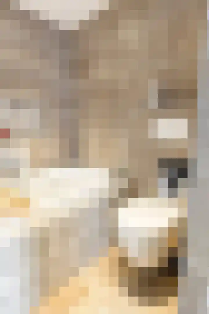 Bartókstraat 72 Elst thumbnail 24