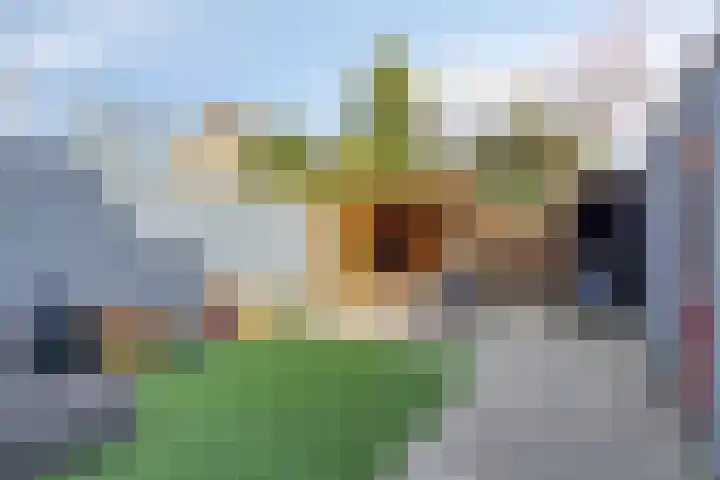 Bartókstraat 72 Elst thumbnail 39