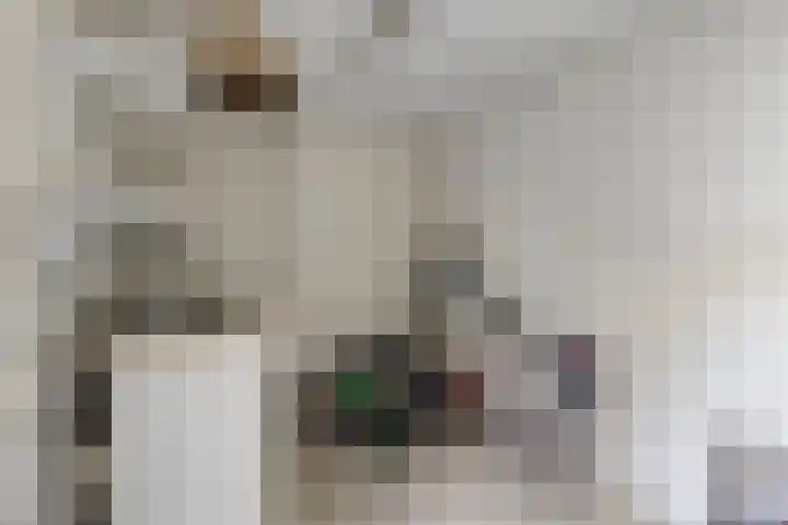 Bartókstraat 72 Elst thumbnail 43