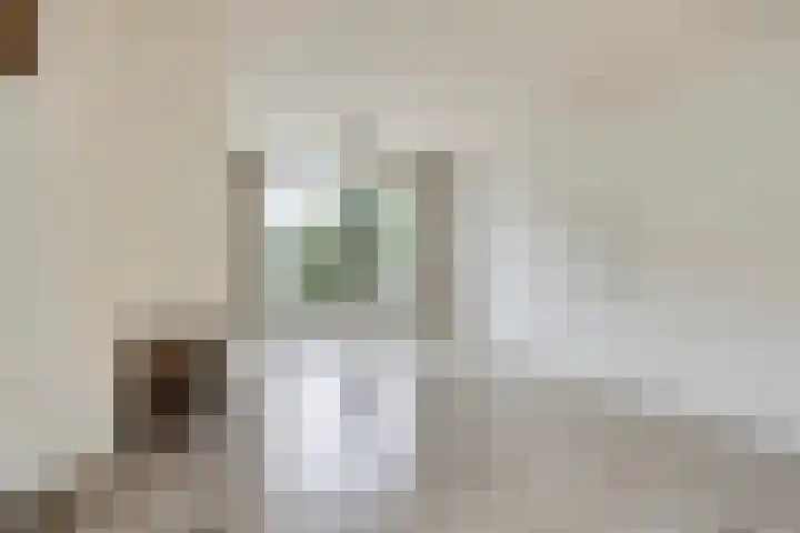 Bartokstraat 8 Culemborg thumbnail 11