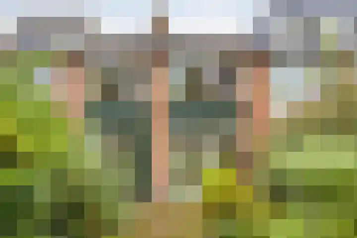 Bartokstraat 8 Culemborg thumbnail 4