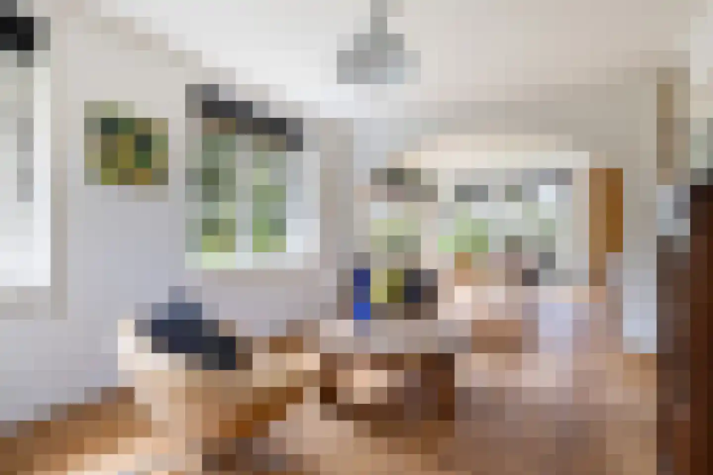 Bartolottilaan 1 Soest thumbnail 10