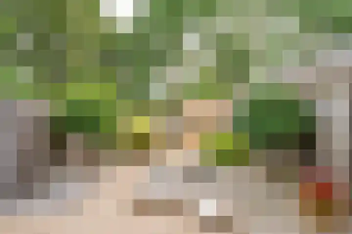 Bartolottilaan 1 Soest thumbnail 17