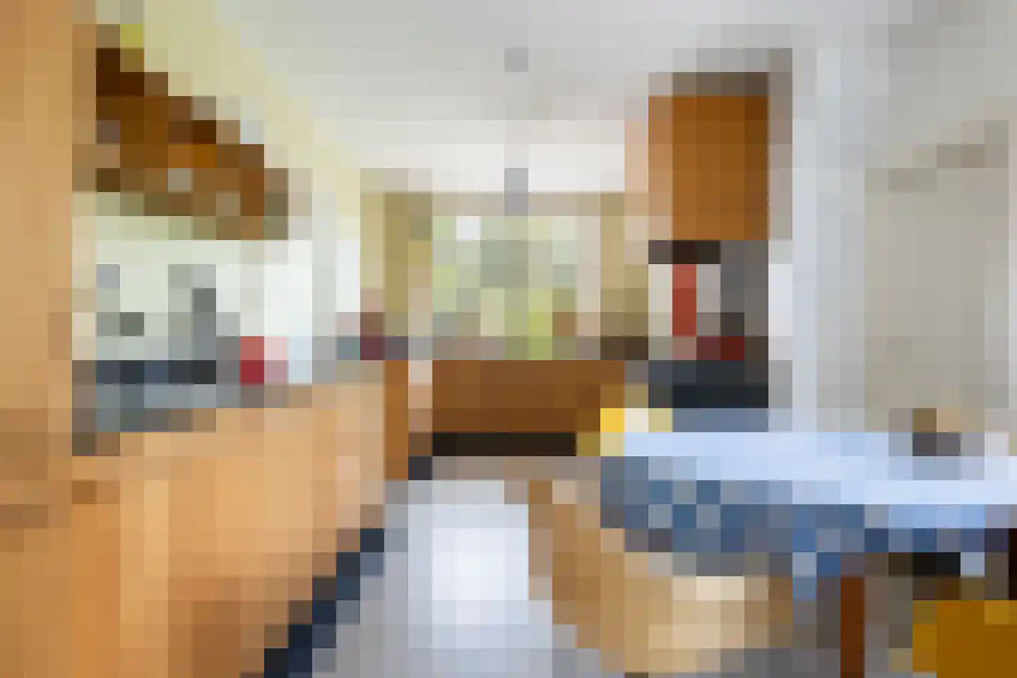 Bartolottilaan 1 Soest thumbnail 18