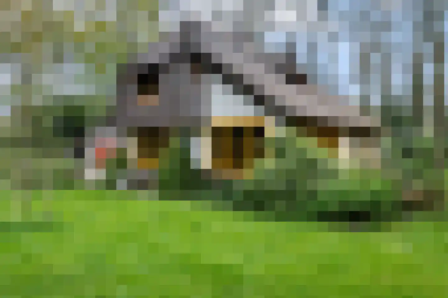 Bartolottilaan 1 Soest foto 2