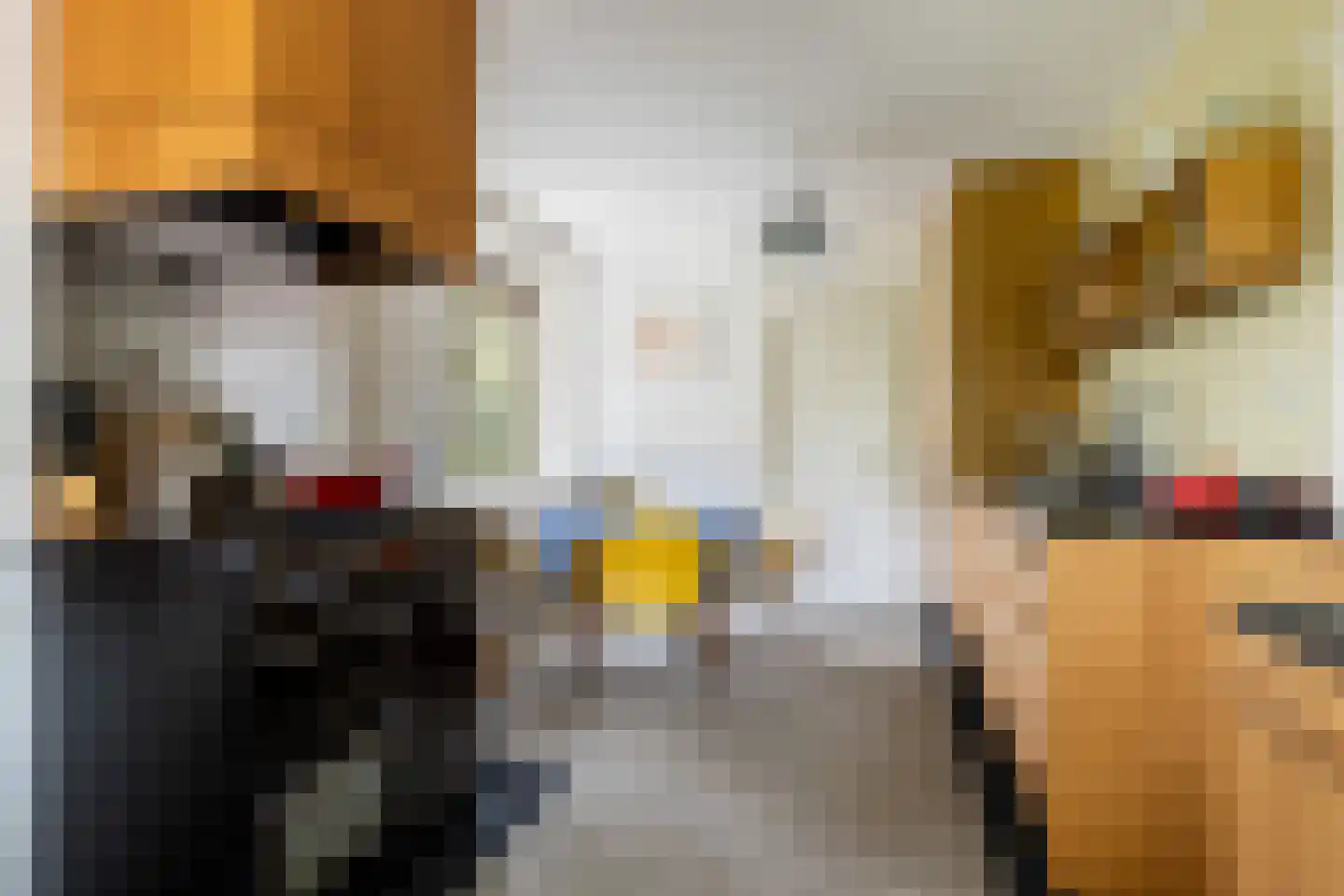 Bartolottilaan 1 Soest thumbnail 21