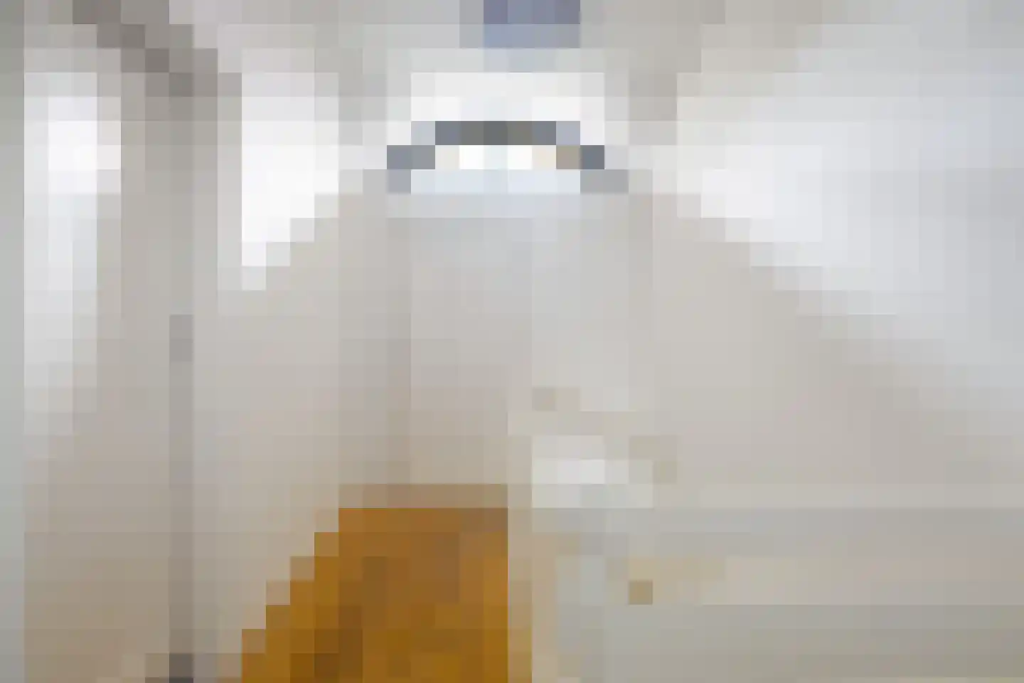 Bartolottilaan 1 Soest thumbnail 25