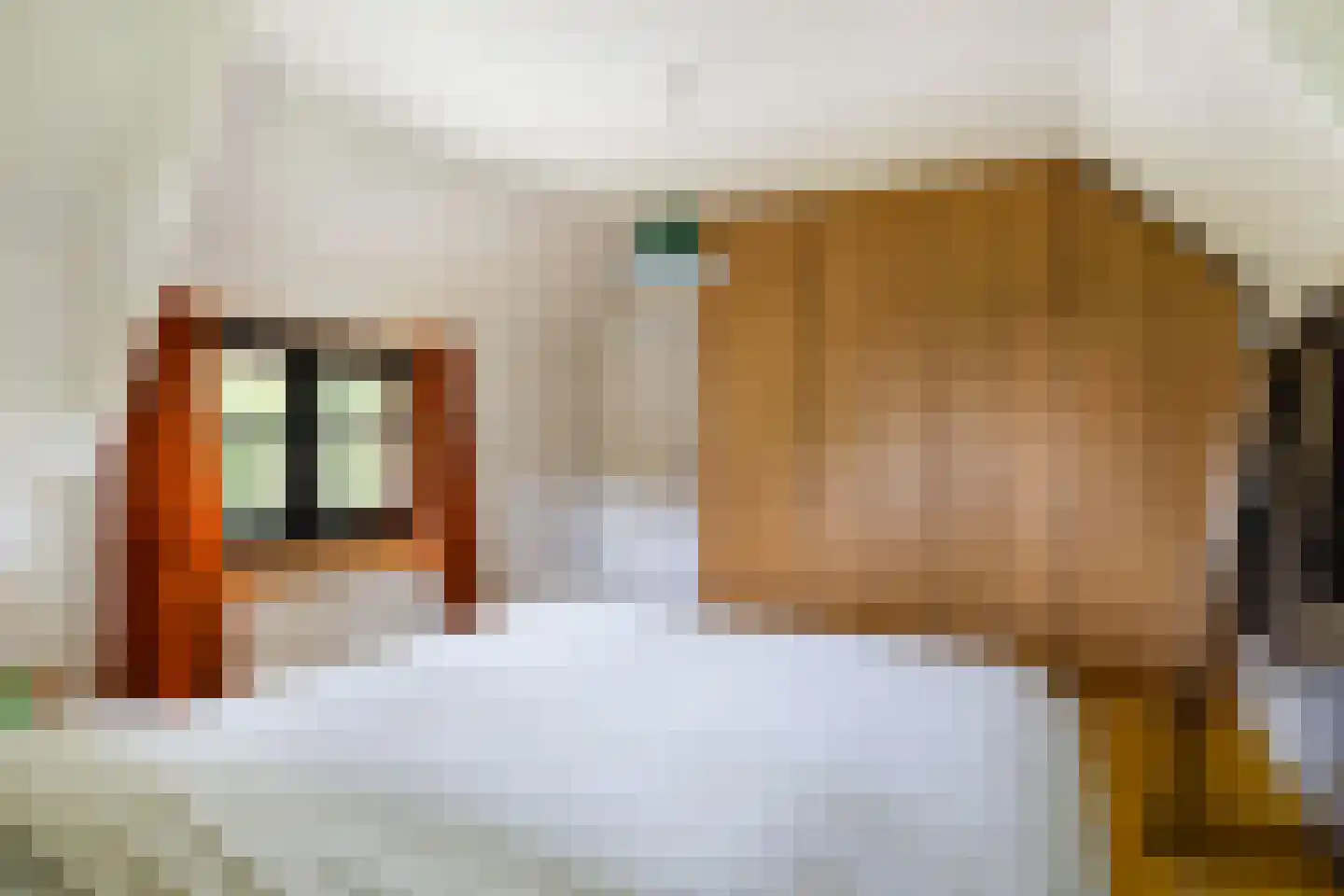 Bartolottilaan 1 Soest thumbnail 27
