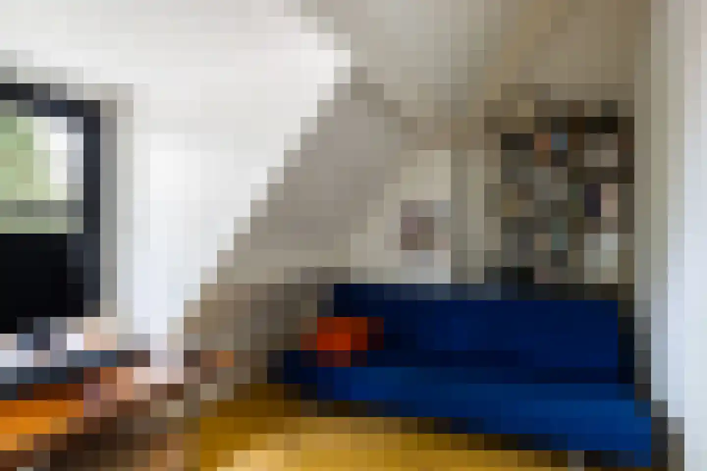 Bartolottilaan 1 Soest thumbnail 28