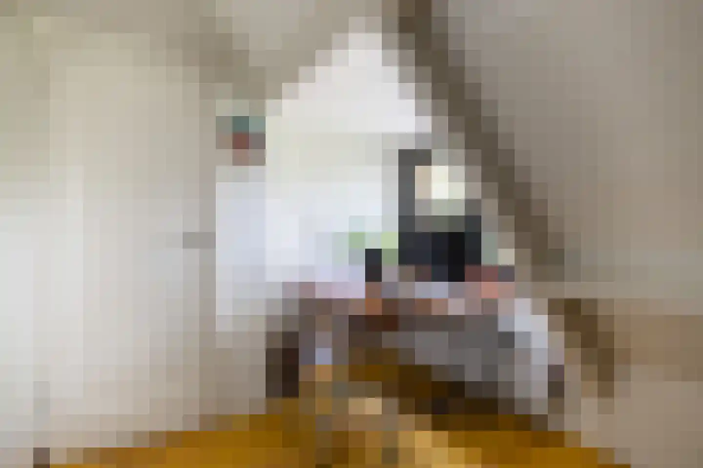 Bartolottilaan 1 Soest thumbnail 29