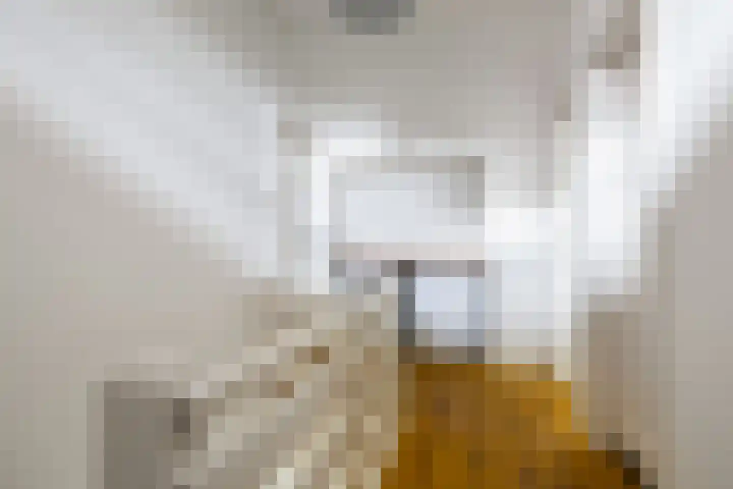 Bartolottilaan 1 Soest thumbnail 32