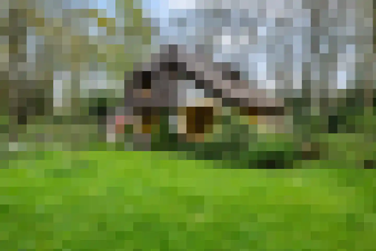 Bartolottilaan 1 Soest thumbnail 33