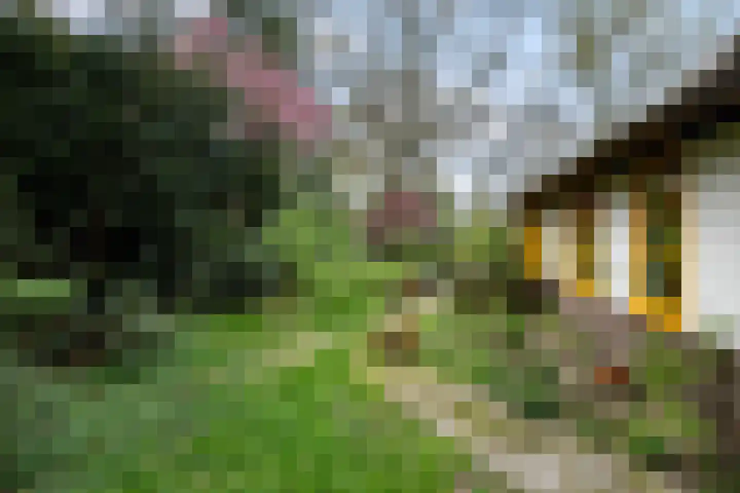 Bartolottilaan 1 Soest thumbnail 35
