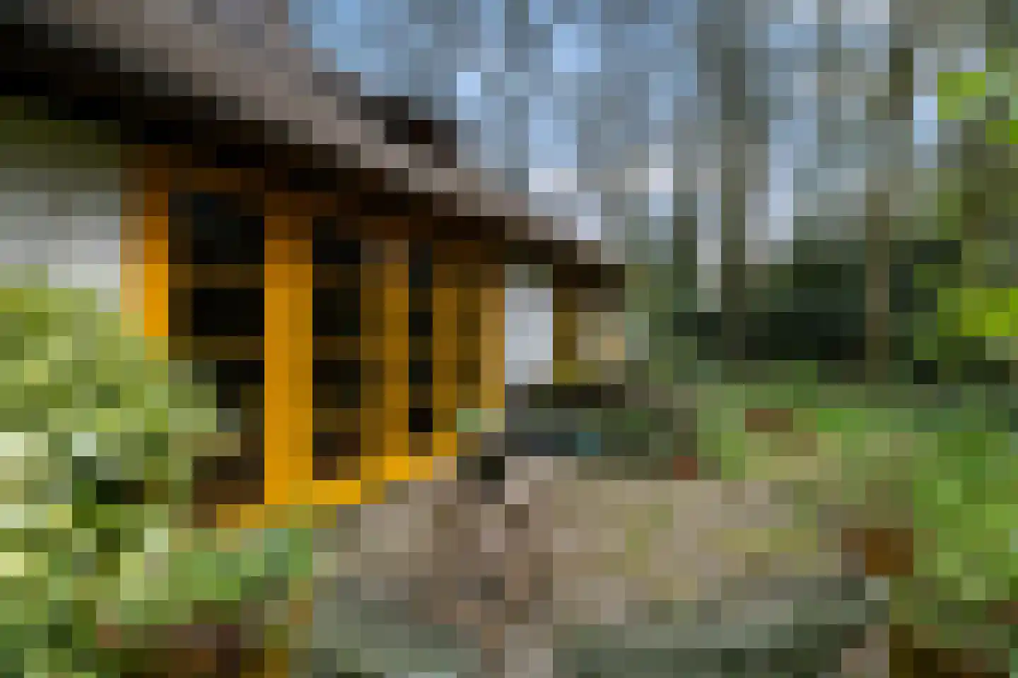 Bartolottilaan 1 Soest thumbnail 36