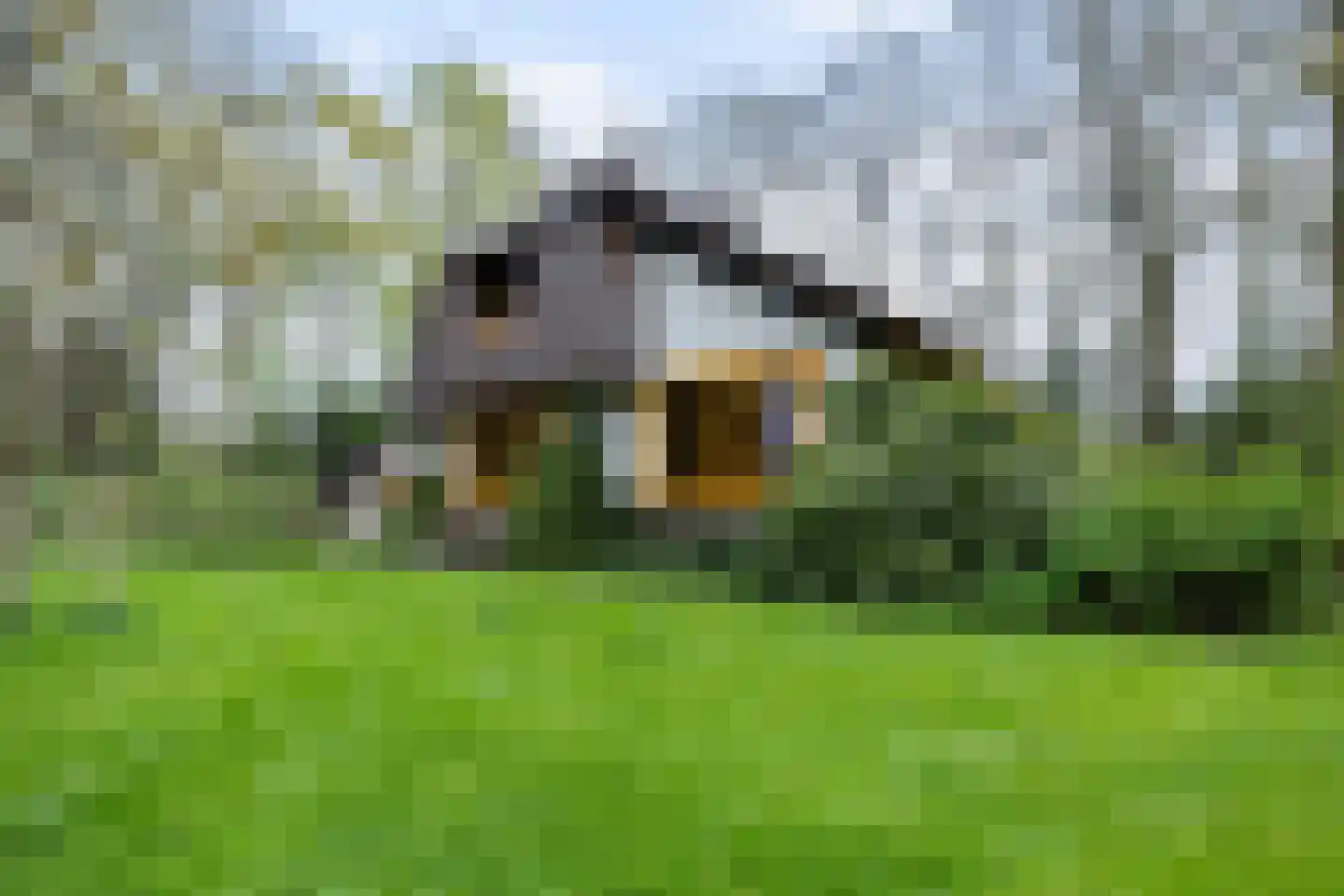 Bartolottilaan 1 Soest thumbnail 4