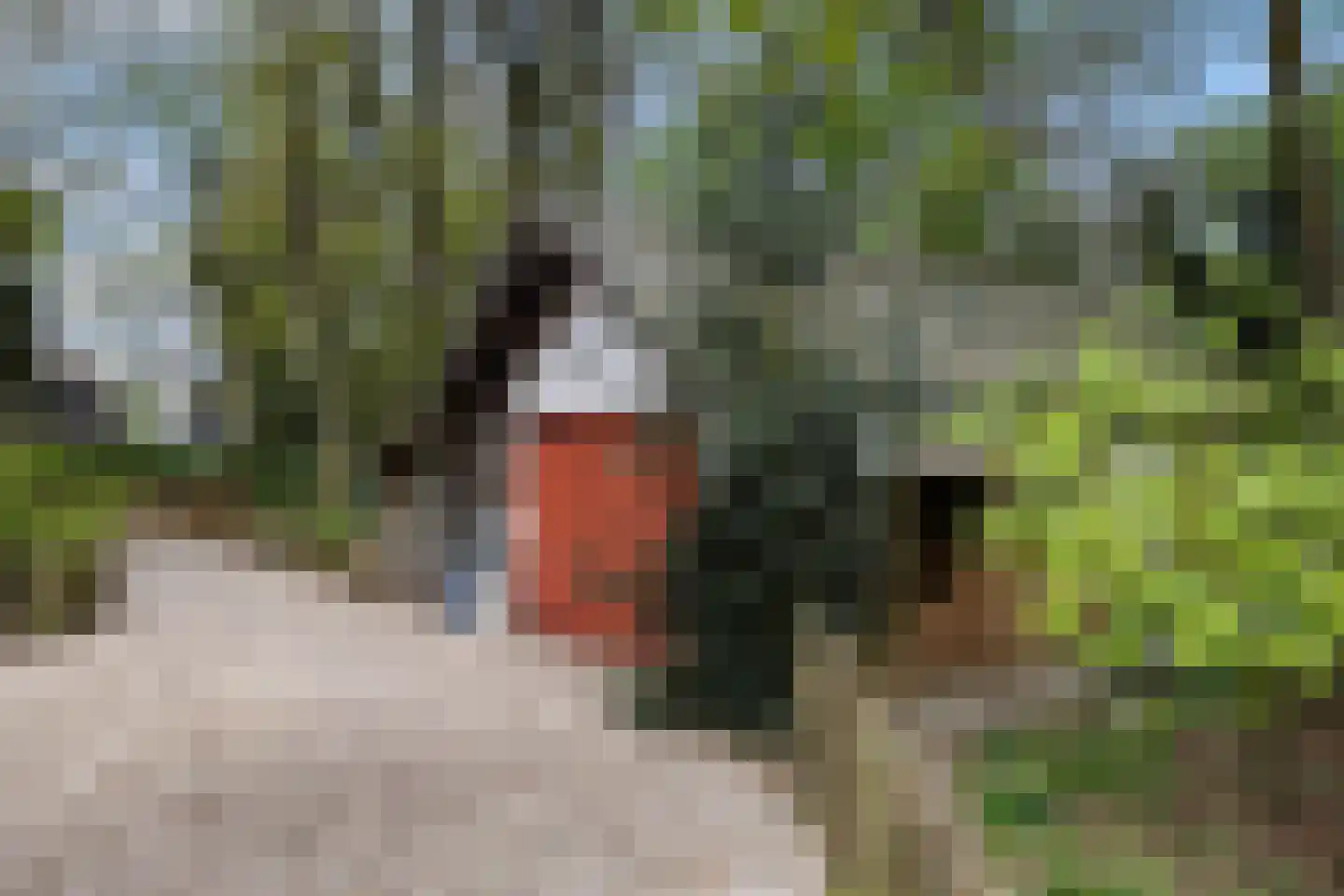 Bartolottilaan 1 Soest thumbnail 40