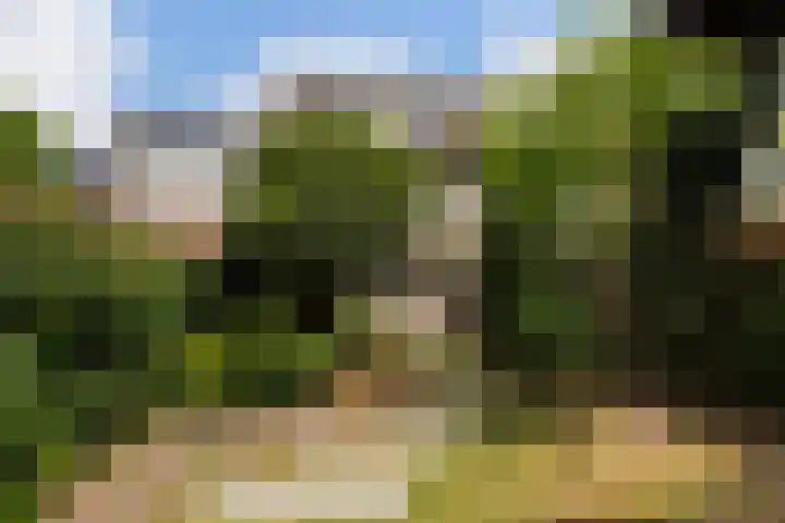 Bartolottilaan 1 Soest thumbnail 45