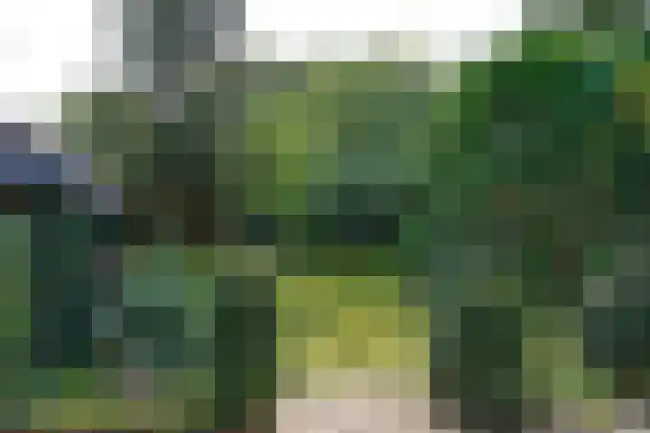 Bartolottilaan 41 Soest thumbnail 11