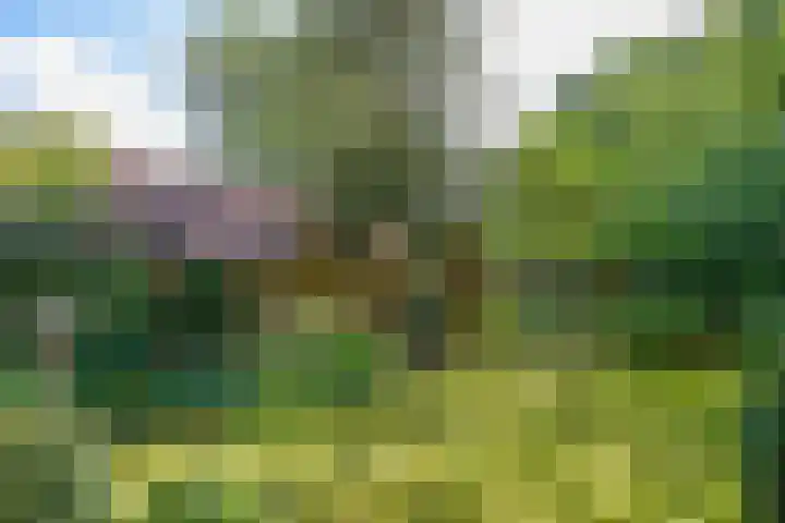 Bartolottilaan 41 Soest thumbnail 12