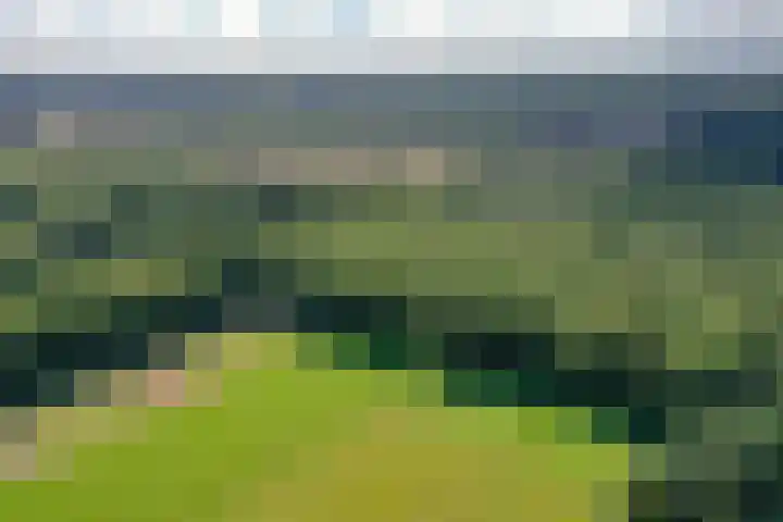 Bartolottilaan 41 Soest thumbnail 18