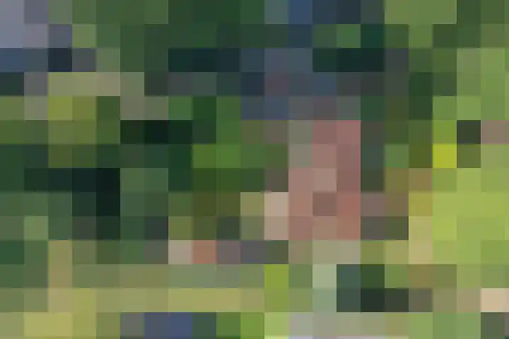 Bartolottilaan 41 Soest thumbnail 19