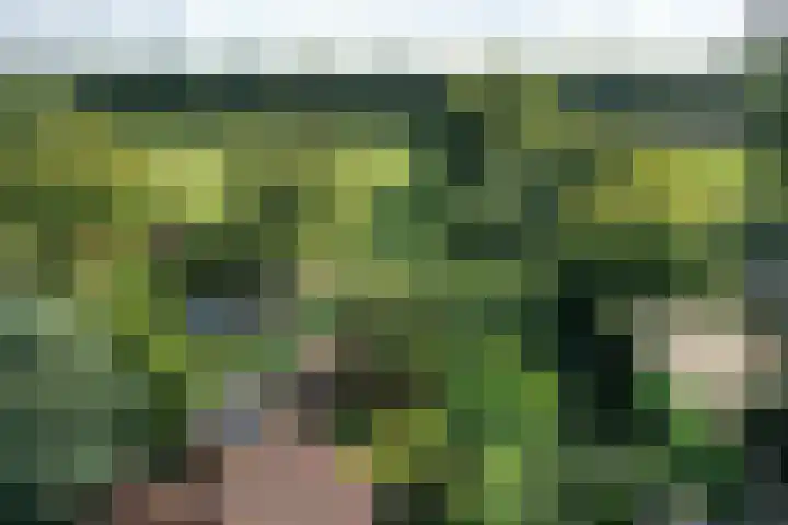 Bartolottilaan 41 Soest thumbnail 20