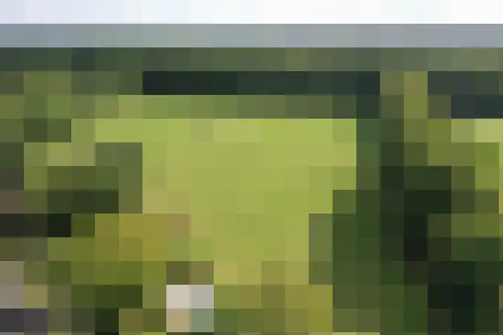 Bartolottilaan 41 Soest thumbnail 21