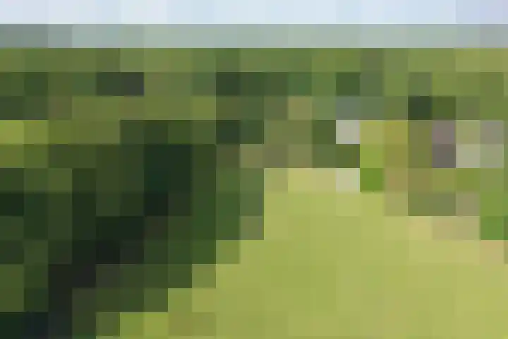 Bartolottilaan 41 Soest thumbnail 23