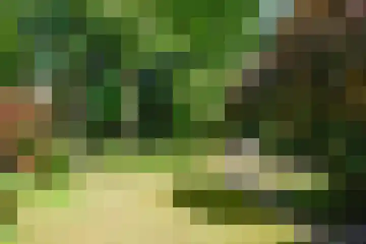 Bartolottilaan 41 Soest thumbnail 5