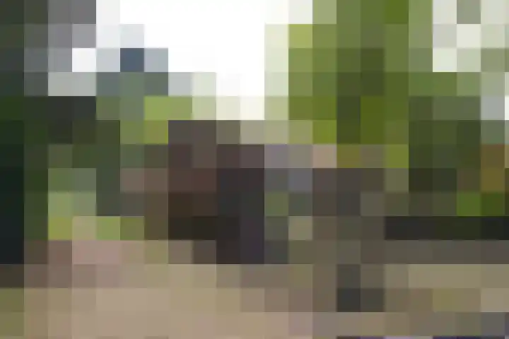 Bartolottilaan 41 Soest thumbnail 7