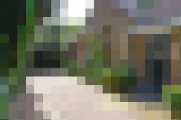 Bartolottilaan 41 Soest thumbnail 8