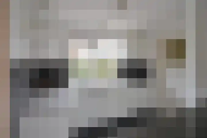 Bartolottilaan 51 Soest thumbnail 15